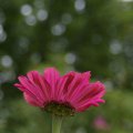dsc03490