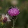 dsc03524