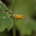 dsc03529