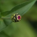 dsc03533