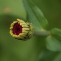 dsc03535