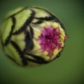 dsc03538