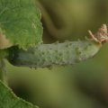 dsc03547
