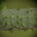 dsc03548