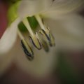 dsc03562