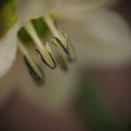 dsc03563