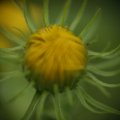 dsc03565