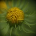 dsc03566