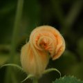 dsc03570