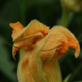 dsc03572