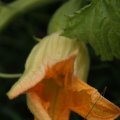 dsc03573