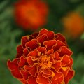 dsc03577