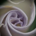 dsc03605