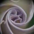 dsc03606