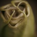 dsc03609