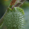 dsc03614