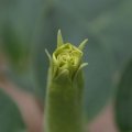 dsc03619
