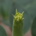 dsc03620