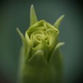 dsc03622