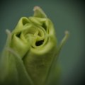 dsc03624