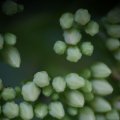 dsc03627