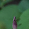 dsc03630