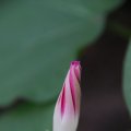 dsc03631