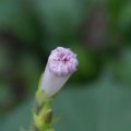 dsc03633