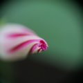 dsc03635