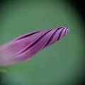 dsc03637