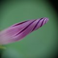 dsc03638