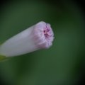 dsc03639
