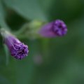 dsc03641