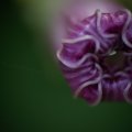 dsc03642
