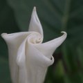 dsc03648