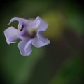 dsc03654