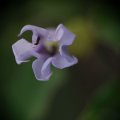 dsc03655