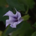 dsc03665