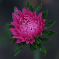 dsc03669