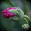 dsc03678