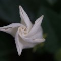 dsc03690