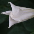 dsc03691