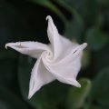 dsc03692