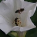 dsc03715