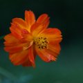 dsc03729