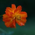 dsc03730