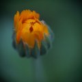 dsc03736