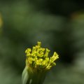 dsc04395