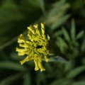 dsc04399