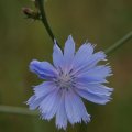 dsc04490